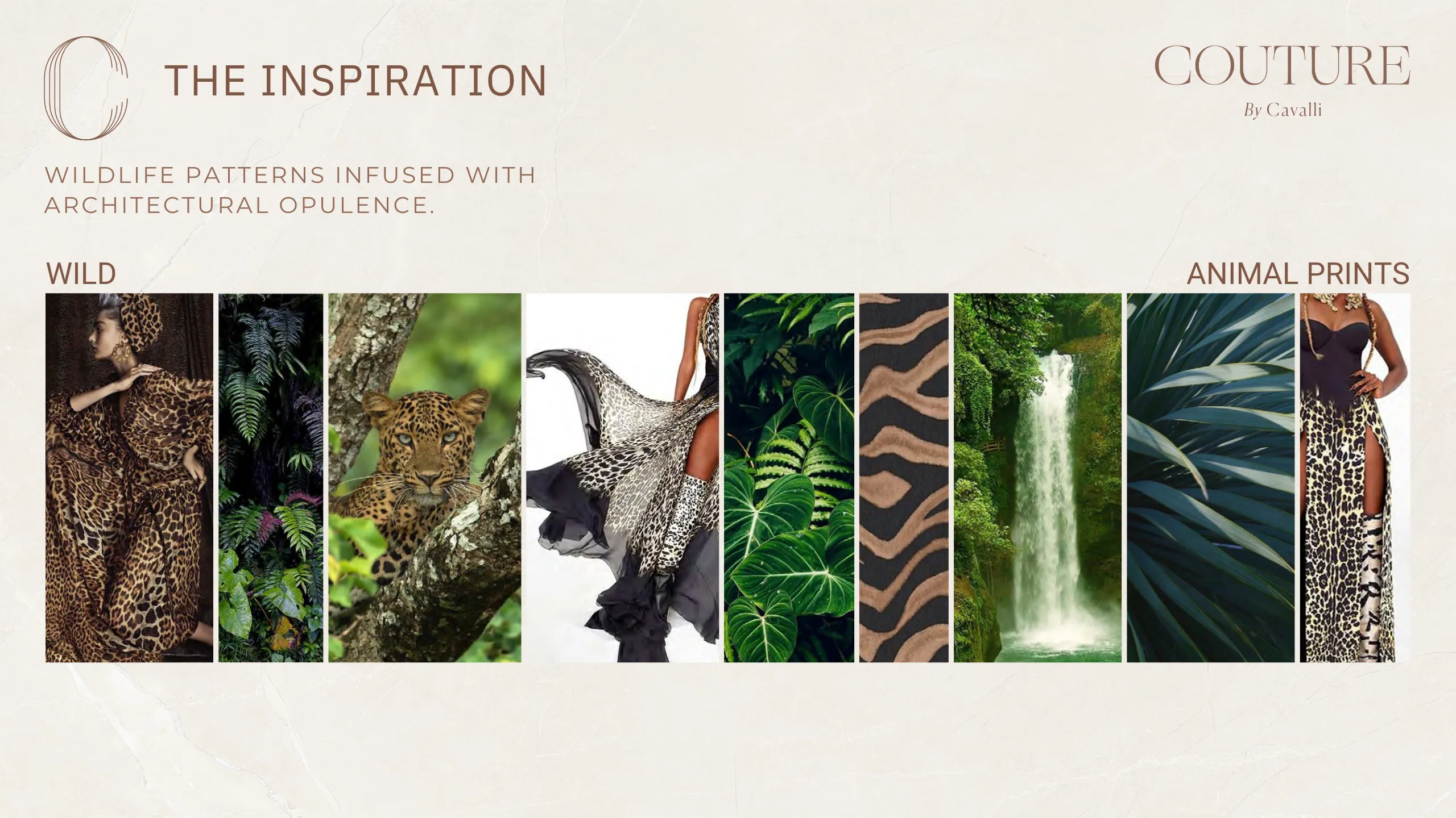 CouturebyCavalli Brochure Page 2