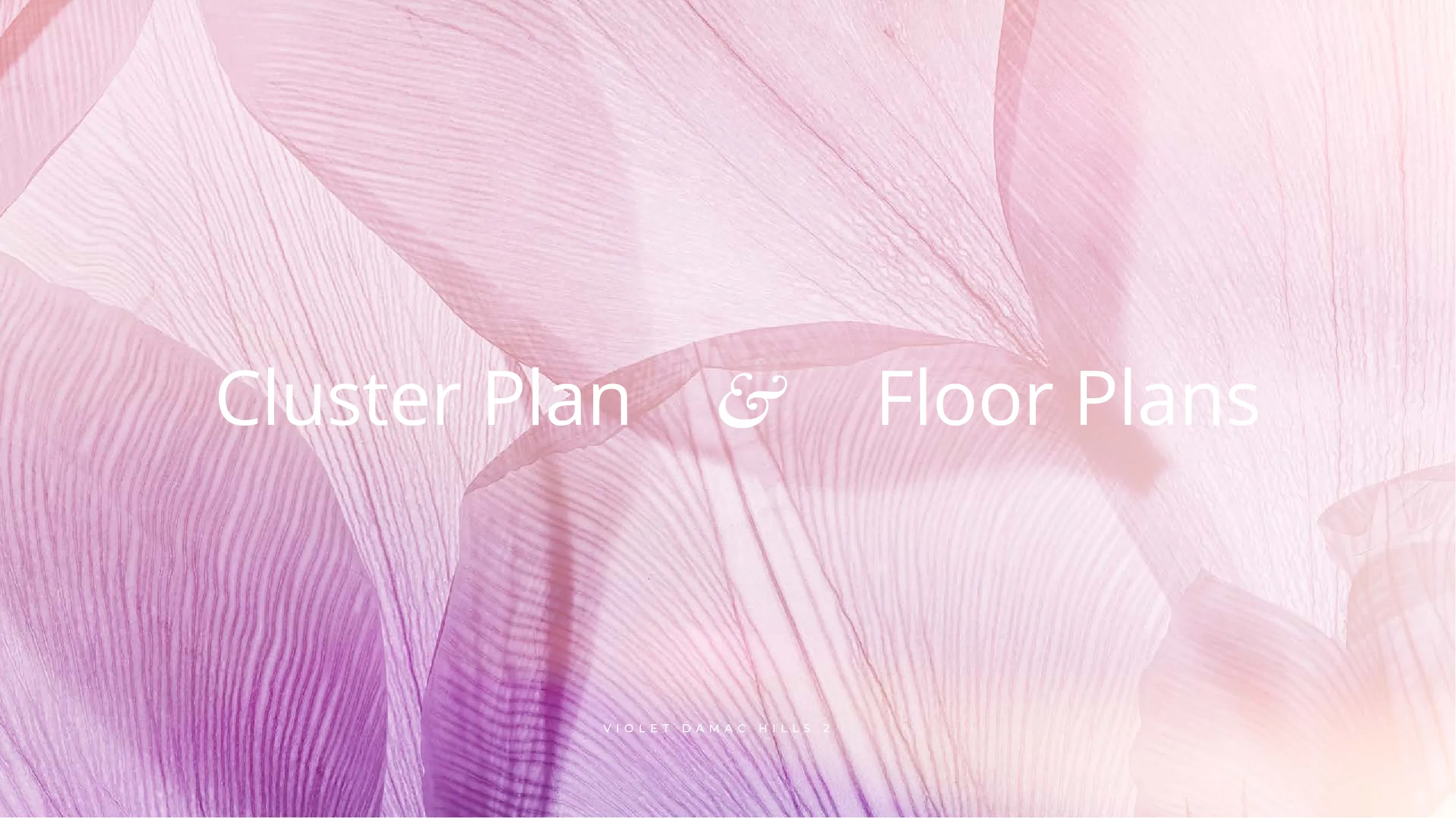 Violet Brochure Page 21